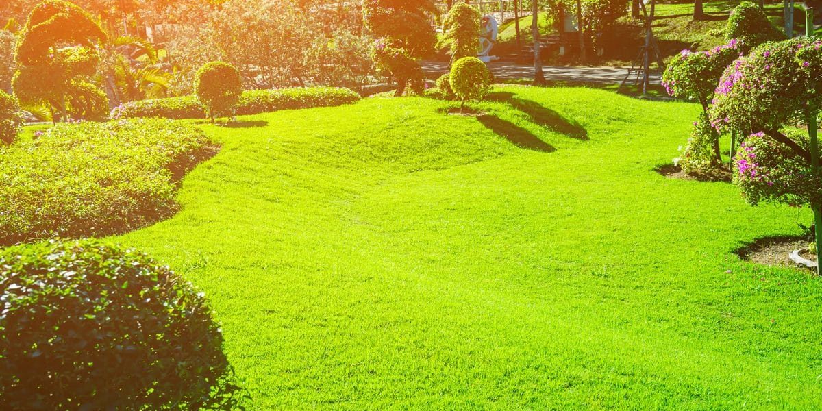 jardin maison